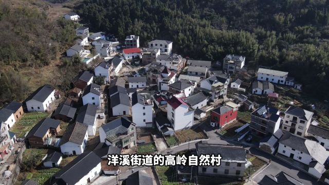 建德市互联网特色乡村旅游项目电商高岭民宿