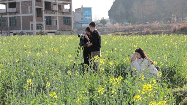 西岩镇石龙村:油菜花开春意盛