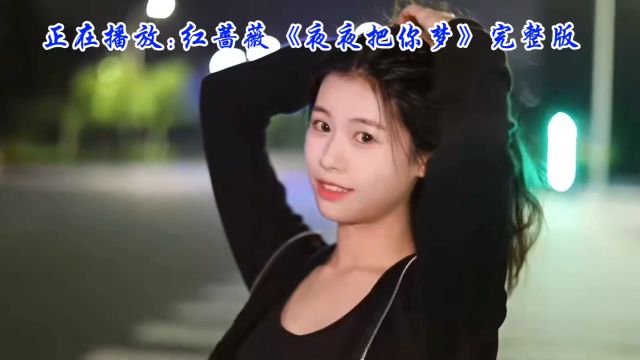 经典情歌新演绎,红蔷薇《夜夜把你梦》带你重温浪漫时光