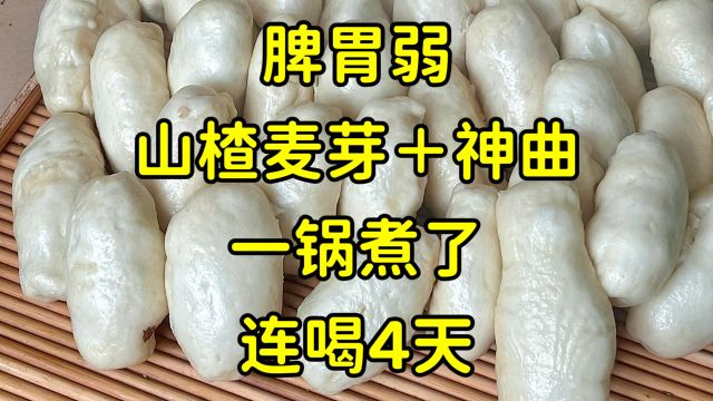 脾胃弱不用养,山楂麦芽+神曲,一锅煮了就好