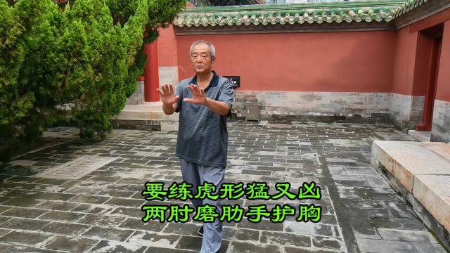 形意拳十二形之虎形(虎扑)练习教学:张发智之功夫(63)