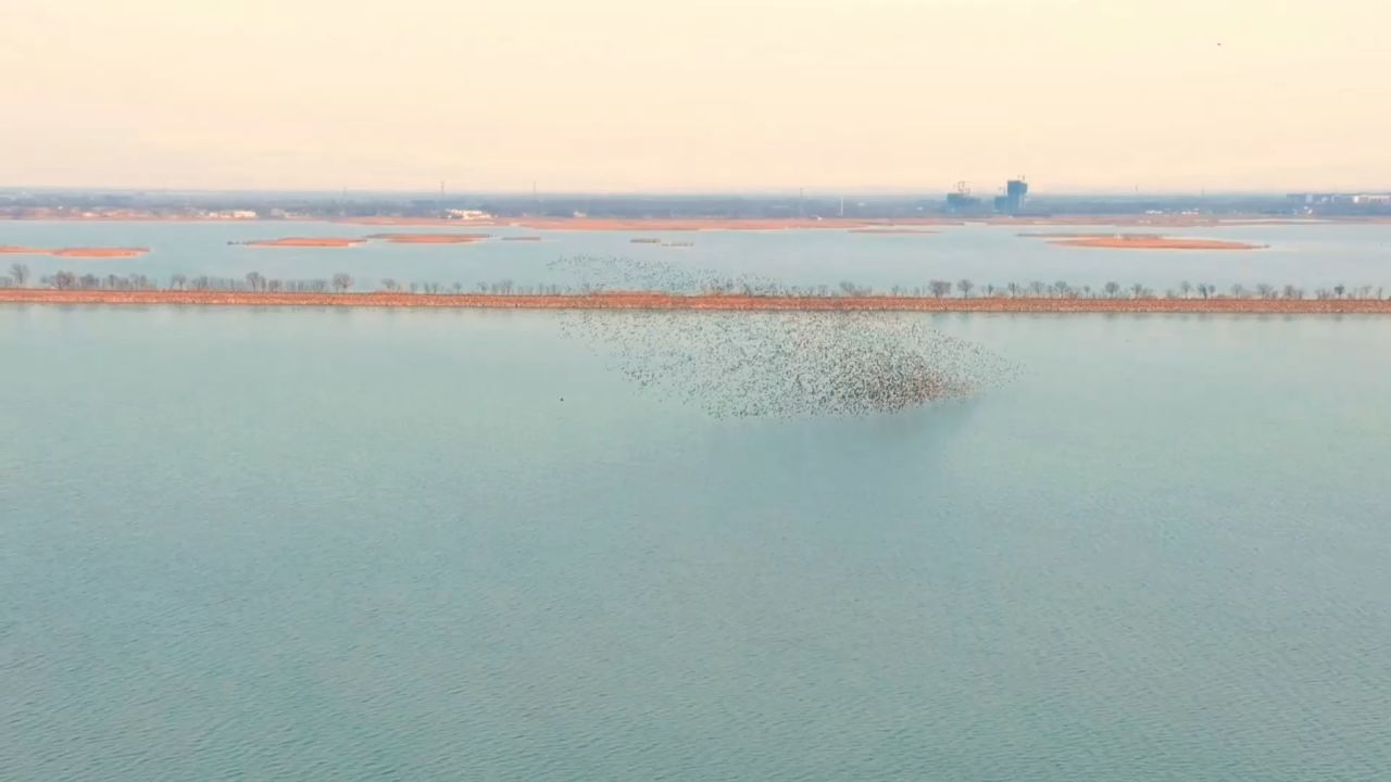 河北衡水湖简介图片