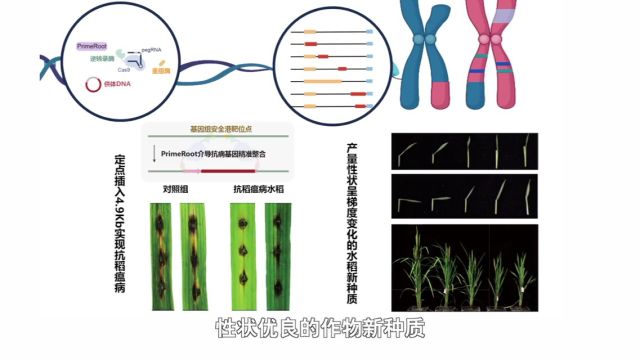 2023年度“中国科学十大进展”发布,主要分布在生命科学等领域