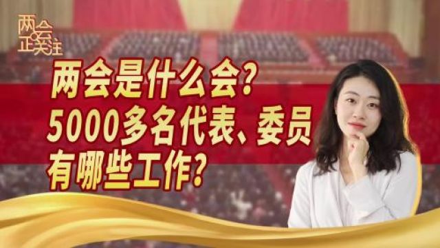 两会是什么会?5000多名代表、委员有哪些工作?