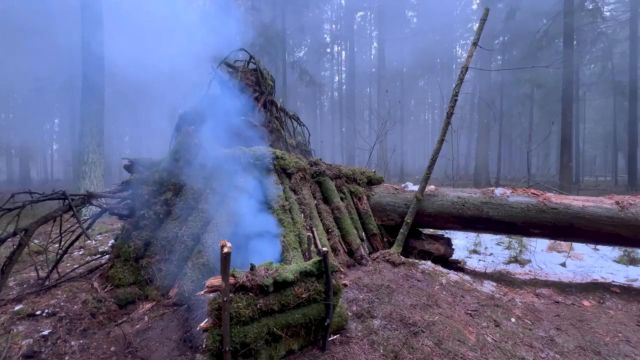 荒野搭建:利用自然倒下的木头做辅助,倚靠出来的荒野庇护所