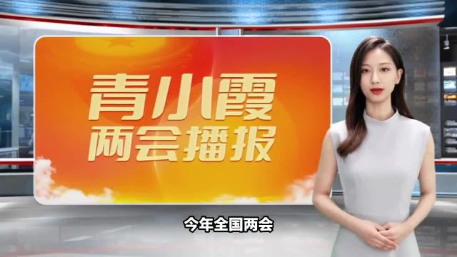 全国人大代表雷军:建议中小学普及AI课