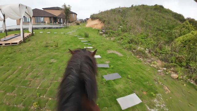 自由和洒脱才是人生关键词#朴语野奢 #朴语山居.