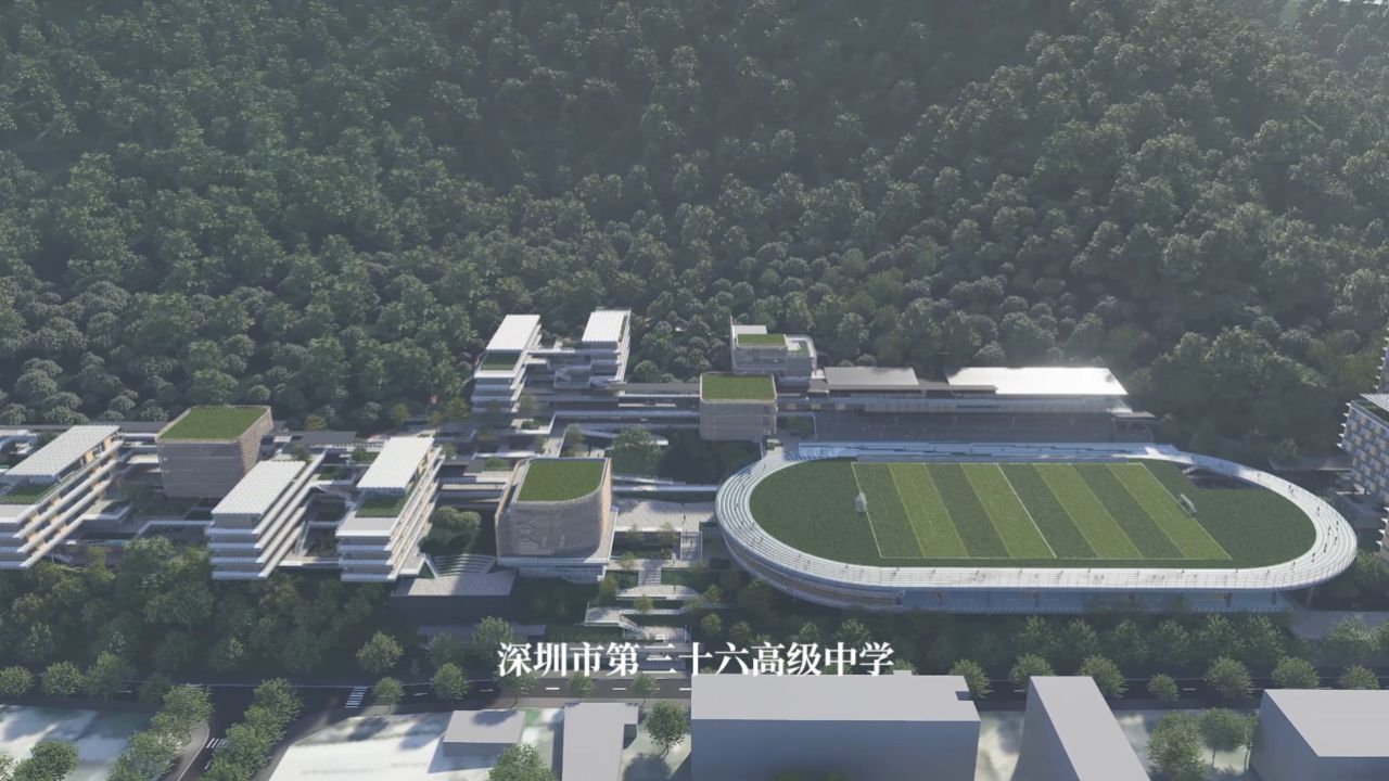 3 项目视频
