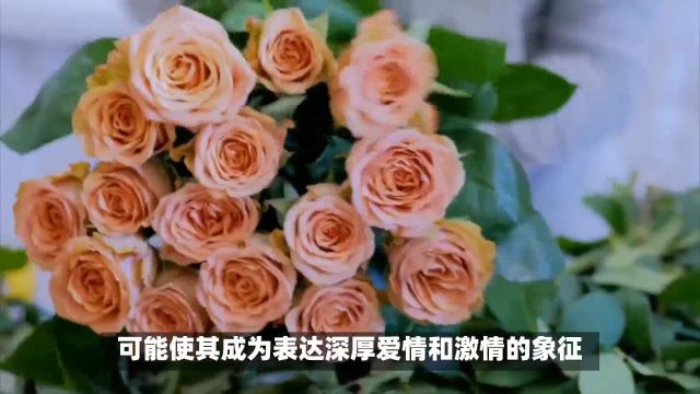 卡布奇诺玫瑰花语是什么