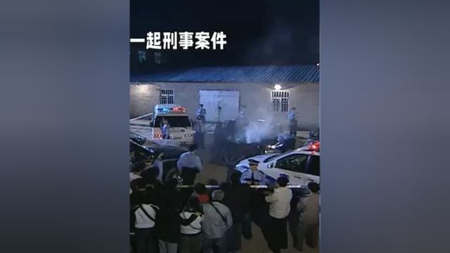 刑事犯罪警事