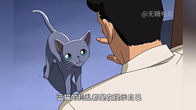 提示毛利破案不再是柯南,而是普通宠物猫!2