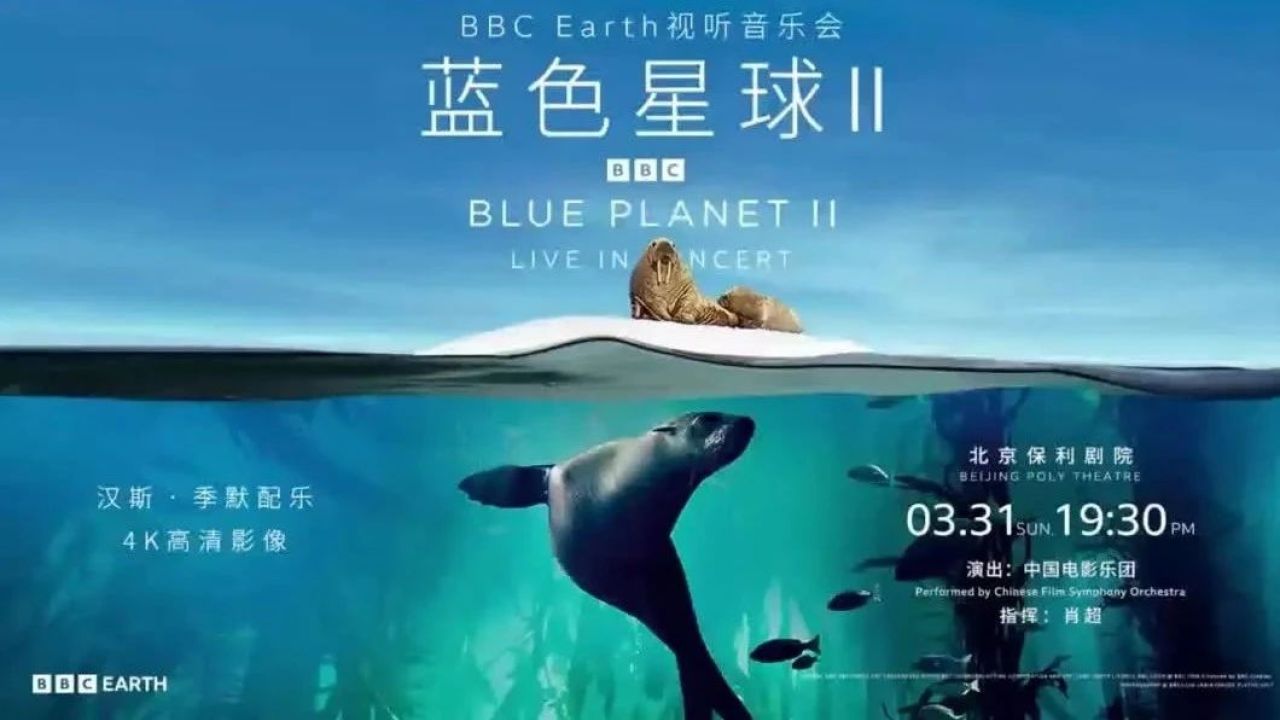 福利丨从汹涌海面到寂静深海,bbc earth《蓝色星球ii》视听交响音乐会