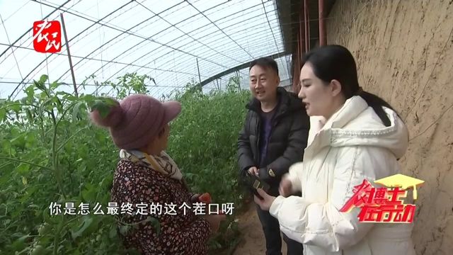 科技助农 | 采摘园把握茬口空档很关键