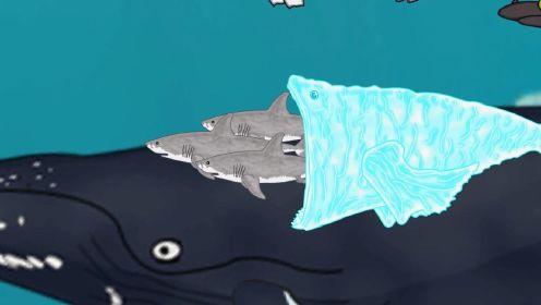 极寒巨鲲将三头大白鲨给吞进了肚中一顿消化 #原创动画 #巨鲲 #海洋生物