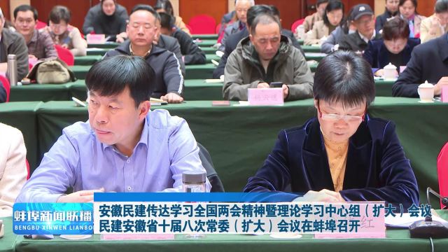 安徽民建传达学习全国两会精神暨理论学习中心组(扩大)会议、民建安徽省十届八次常委(扩大)会议在蚌埠召开