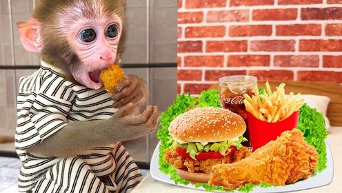 有趣的小猴子：邦邦被困监狱牢笼，竟还能吃到美味的炸鸡汉堡！