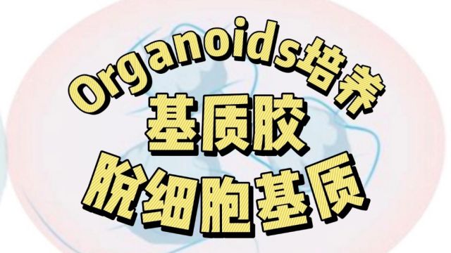 Organoids培养的基质胶与脱细胞基质