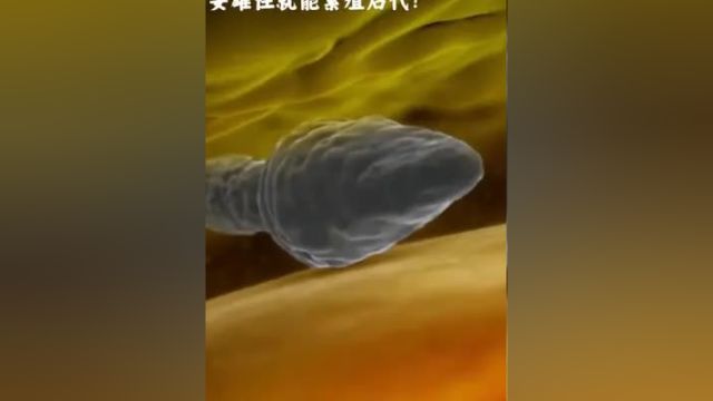 你见过哪些动物不需要雄性也能进行繁殖后代呢?科普知识 生物科普 动物解说 科普一下 孤雌繁殖