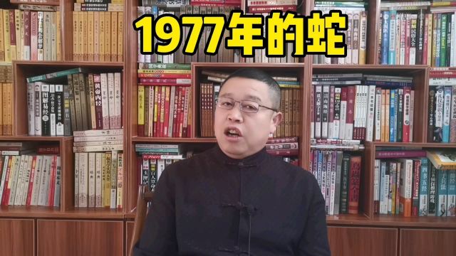 十二生肖,1977年出生的属蛇人怎么样?