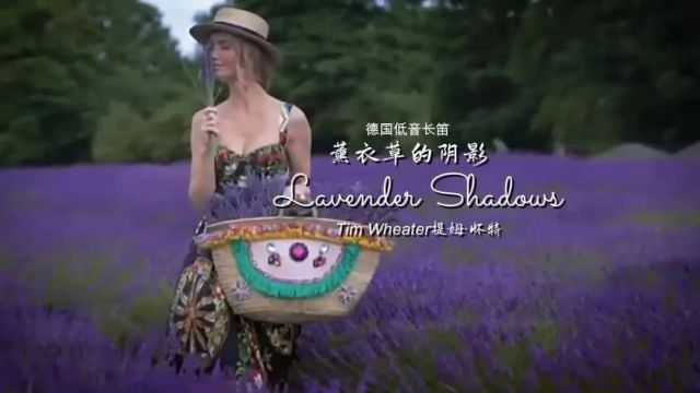 醉美长笛《Lavender Shadows》柔缓而绵延,优美而迷人