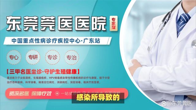 首选东莞莞医医院东莞hpv16阳性可以转阴吗