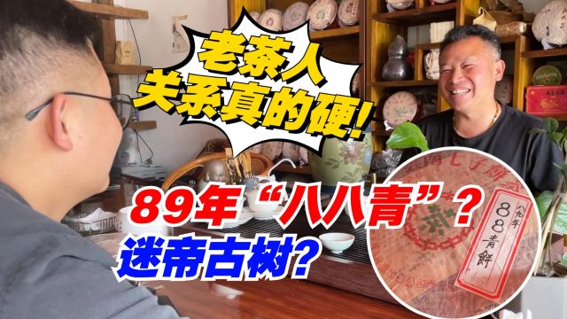 89年“八八青”?迷帝古树?老高惊叹:老茶人关系是真的硬!