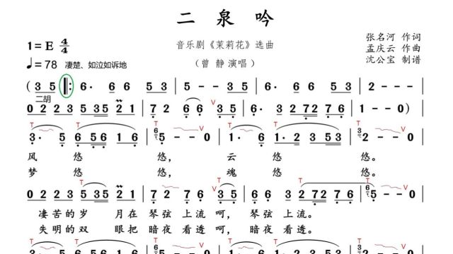 《二泉吟》雅佳五千电吹管升级音色二胡E调吉洪列夫[20240309 170309]