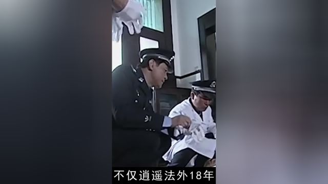 凶手手刃所长和银行长,逃亡18年逍遥法外,被抓时竟是城管局局长#真实影像#历史#悬疑#刑侦 3#纪实