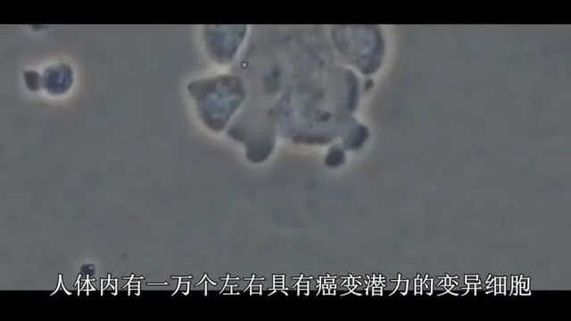 NK细胞杀灭癌细胞的原理,张泽民教授团队最新NK细胞单细胞研究《Cell》发布