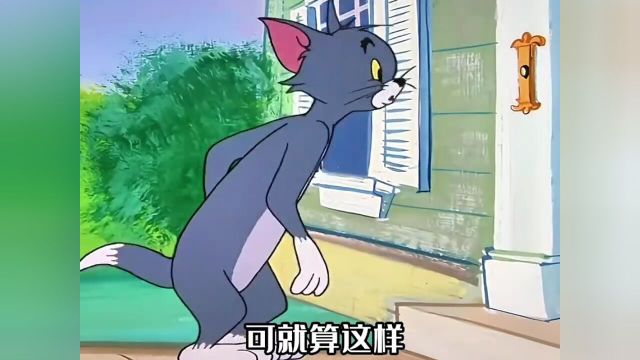 猫和老鼠