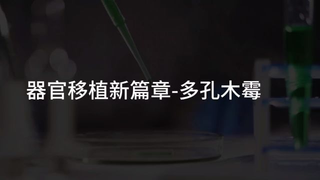 器官移植新篇章 多孔木霉 #科岩科技