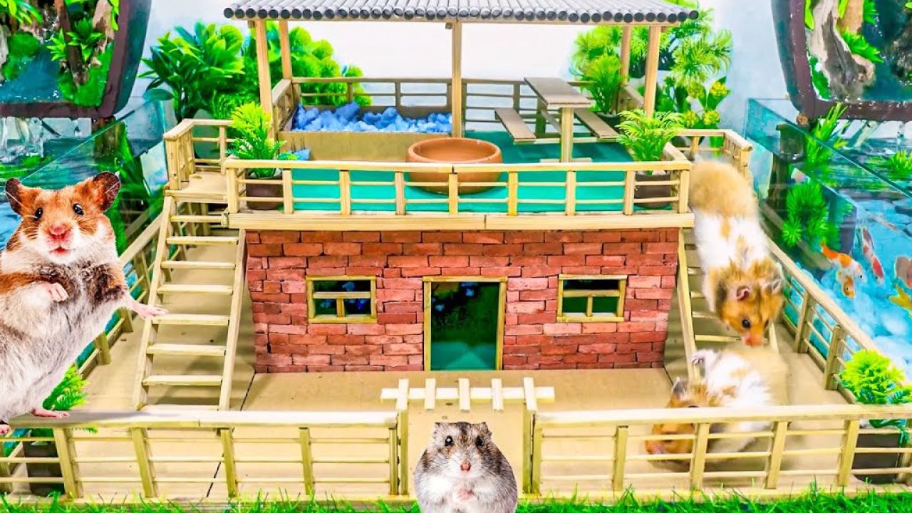 建造仓鼠迷宫屋 - diy 迷你砖仓鼠屋
