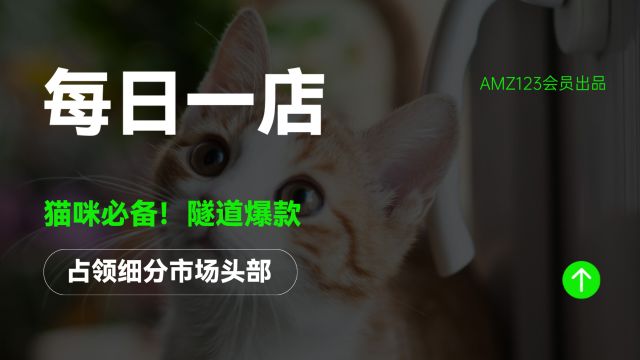 猫咪必备!隧道爆款占领细分市场头部