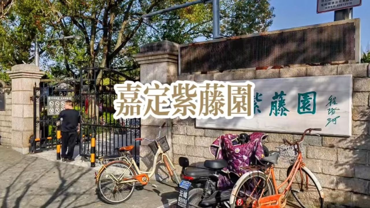 旅游纪实:美丽中国上海行——嘉定紫藤园"切记紫藤园于每年的四月中旬