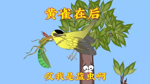 你知道螳螂捕蝉,黄雀在后吗?