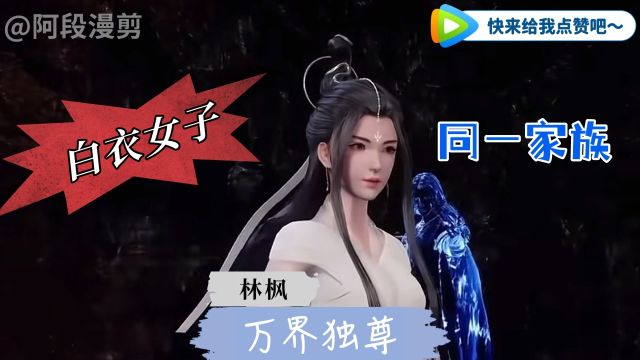 万界独尊:武神殿,白衣女子,林枫有着同样的背景,难道他们是同一家族?