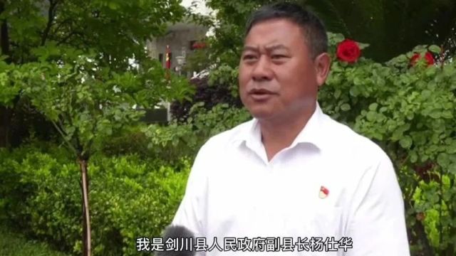 千秋旭照 七彩云南 丹心报国 永远跟党 | 祥云这个书画展为党献礼!