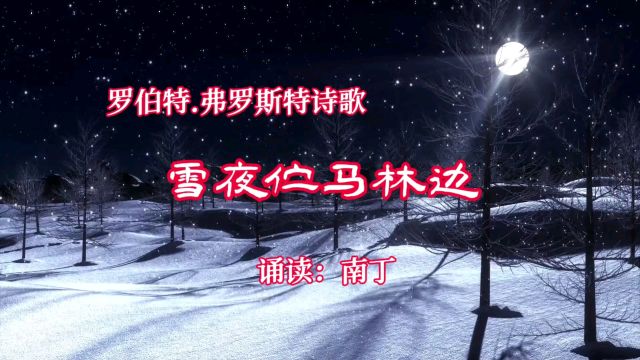 罗伯特.弗罗斯特诗歌《雪夜伫马林边》诵读:南丁