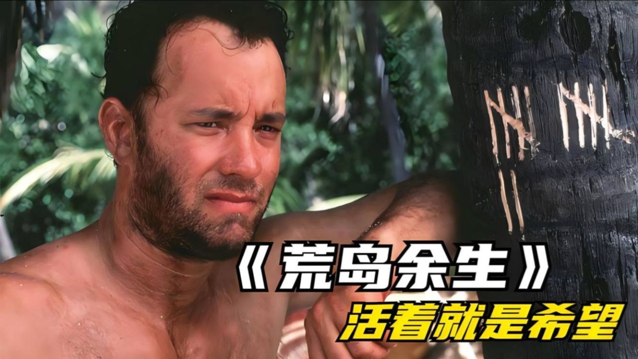 荒岛余生:生命的坚韧与孤独的共鸣