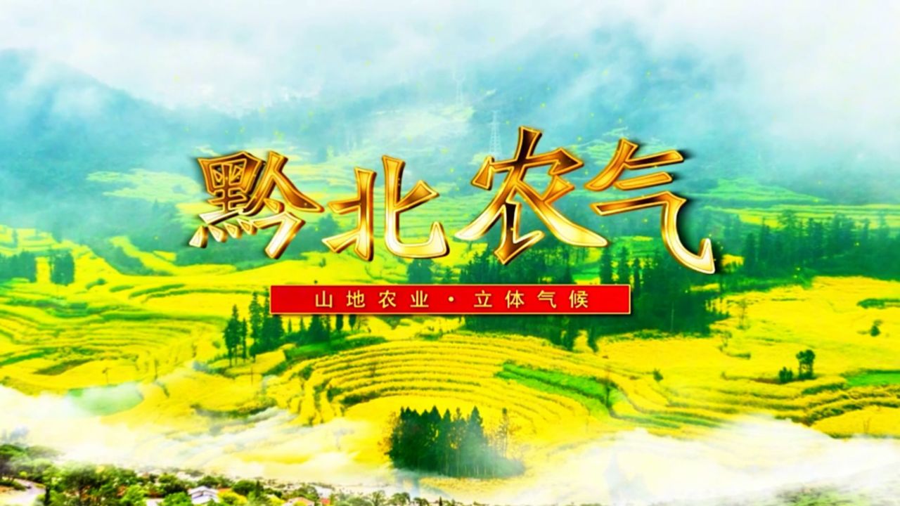 2024年3月30日遵义天气预报