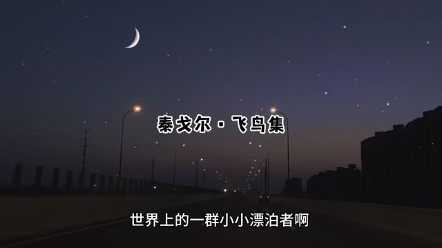 泰戈尔 飞鸟集2