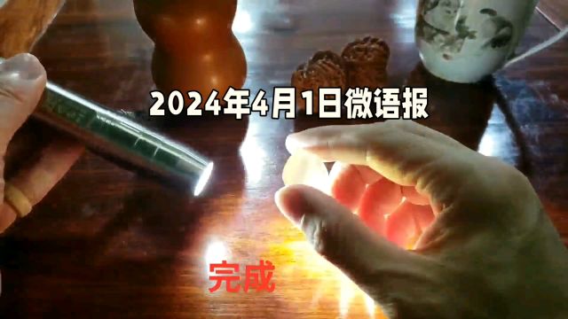 2024年4月1日微语报