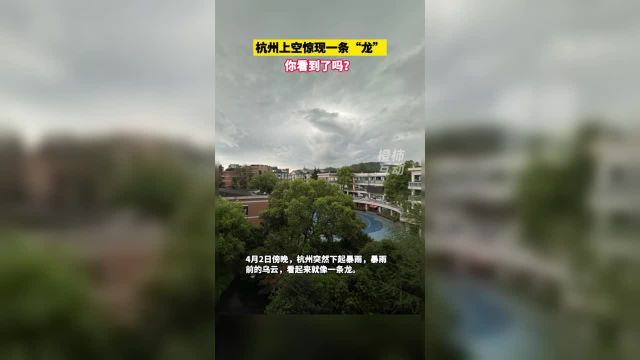 杭州上空惊现一条“龙”,你看到了吗?