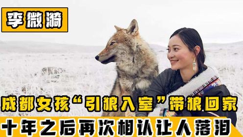 _中国第一狼女_李微漪-十年前把狼当儿子带回家，十年后再次相逢