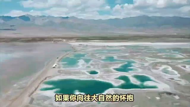 青海湖之旅