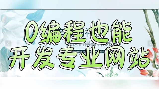 零编程基础也能成为网站开发高手:教你通过复制模板搭建专业网站