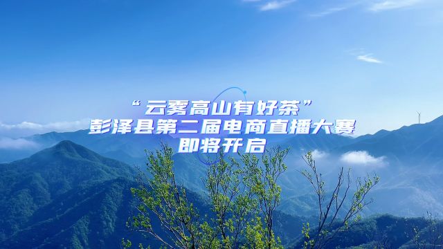 “云雾高山有好茶”彭泽县第二届电商直播大赛即将开启~浪溪高山清风云雾茶欢迎您