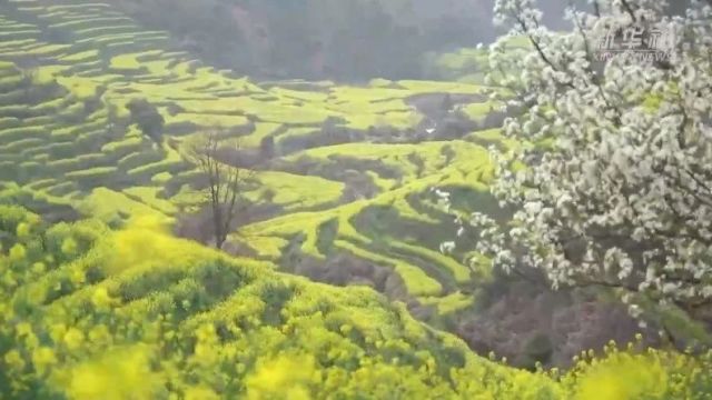 媒体聚焦 | “诗与远方”焕活古村∽新华社关注上饶这座山崖上的古村