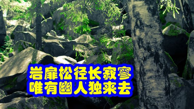 品鉴唐诗 岩扉松径长寂寥 唯有幽人独来去 孟浩然 《夜归鹿门歌》