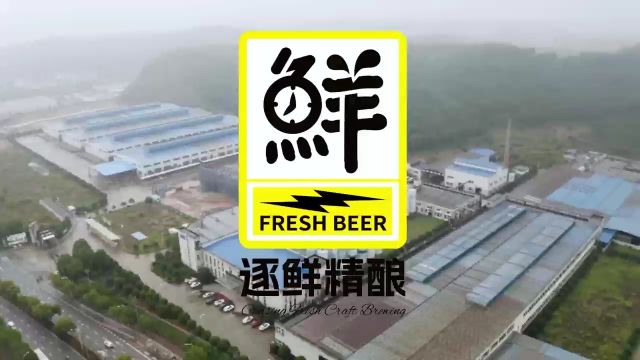 逐鲜精酿|精酿啤酒新标杆,厂家实力铸就品质传奇!